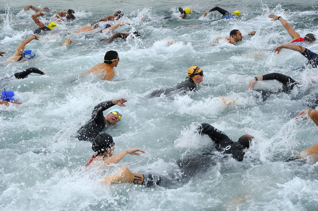 An image of swimmers in wetsuits in the water.